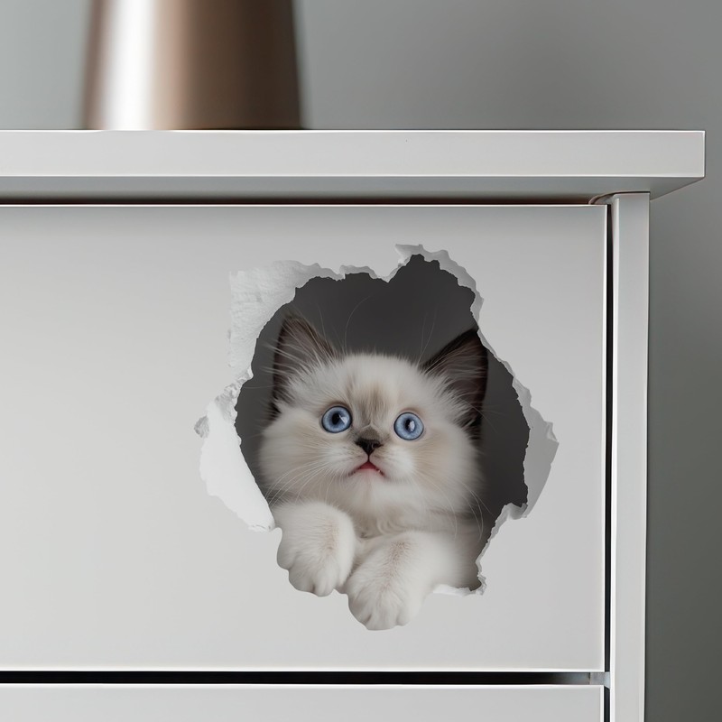 White Cat Decal - Wall Hole Sticker with 3D Effect