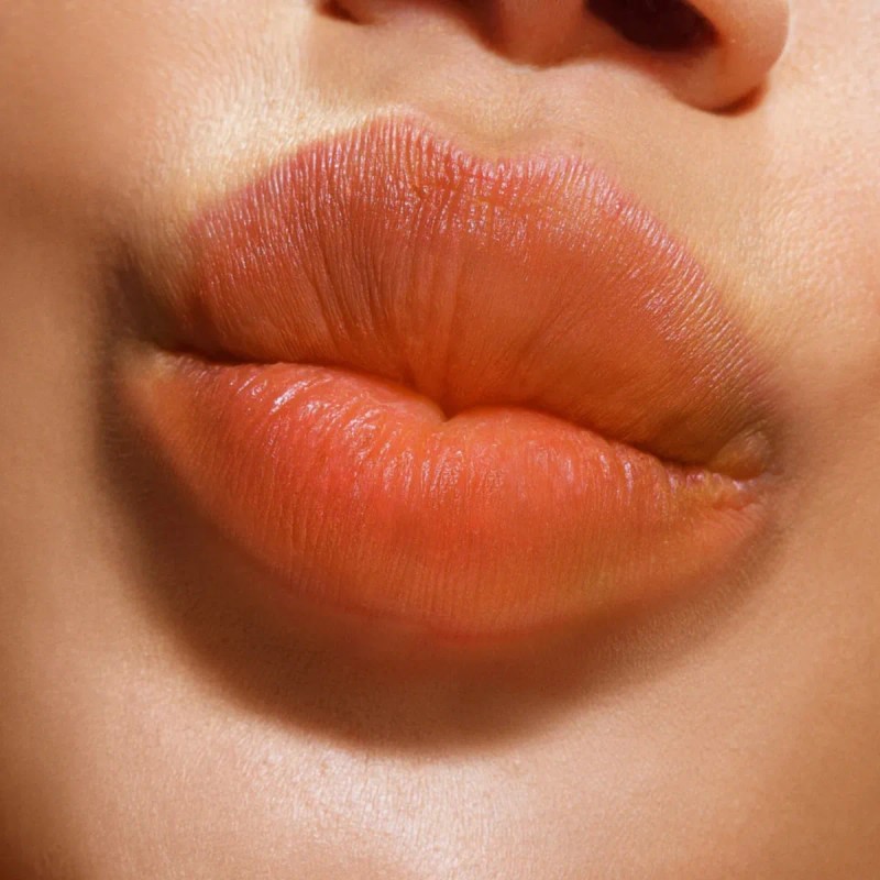 Labial Rubor Stick Alta Pigmentacion Color Balm La Colors®