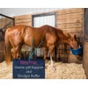 Kentucky Equine Research RiteTrac: Total Digestive Tract Support for Horses,