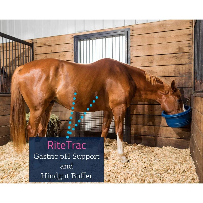 Kentucky Equine Research RiteTrac: Total Digestive Tract Support for Horses,