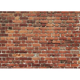 AIIKES 8X6FT Red Brick Wall Photography Backdrop Thin Vinyl Photo Backdrops Background Baby Birthday Party Wedding Graduation Home Decoration Photo Booth Studio Prop Banner 11-506