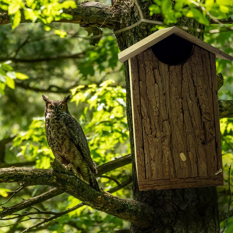 Outer Trails Japanese Cedar Wooden Owl Houses, Bark Front