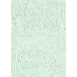Eskent 1430231 Colored Drawing Paper, 26.7 lbs (130 kg), A4, Light Green Paper, 10 Sheets