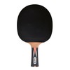 Donic-Schildkröt Top Team 800 Table Tennis Bat, AVS & PLS