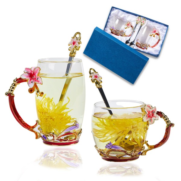 DUMVOIN Tea Cup Glass Coffee Mugs,Fancy Tea Cup Set Birthday