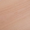 ISL Natural Wood Slice Wood Seals, Cherry A4 Size, 8.3