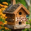 Tinideya 250 Pcs Phragmite Reed Mason Bee Tubes Set Bee