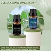BURIBURI Eucalyptus Oil and Peppermint Essential Oil, 100% Pure, Undiluted,