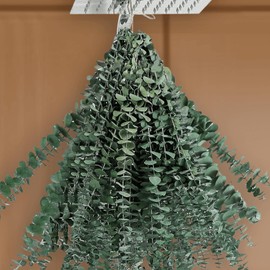15 Pcs Natural Eucalyptus for Shower Bundle, 100% Real Eucalyptus, 17" Dried Preserved Eucalyptus Stems Hanging, Fresh Green Eucalyptus Leaves for Vase, DIY Artificial Flowers, Bathroom Decor