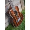 Aloha Ukulele Ebony Wood, Many Sizes, W/Wt EQ (Canadian brand)