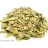 Uva Ursi Leaf and Green Tea Herbal Infusion (Gyokuro -