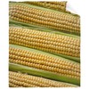 Corn Blanket Funny Food Throw Blanket for Sofa Chairs Bed,
