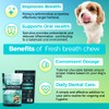 Welsdom Pets Fresh Breath Chew - 30 Chews | Oral