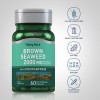 Piping Rock Brown Seaweed Extract 2000 Mg Fucoxanthin Nutritional Immunity
