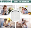 CHAMONNY 12020 Filter Replacement, Compatible with Clorox 11020 & 11021