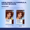 Clairol Nice'n Easy Permanent Hair Dye, 5R Medium Auburn Hair