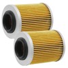 Anxingo 2 Pcs 21040111601 Oil Filter, Replacement for ODES Cartridge