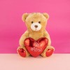 Oso Osito Clásico De San Valentín Corazón Pelucheria
