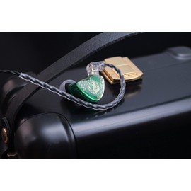 TANGZU Wan'er S.G Wired Earphones, In-Ear Earphones, High-End In-Ear Monitor, Equipped with Dynamic Diaphragm, 0.4 inches (10 mm), PET Dynamic Driver, Noise Canceling, Reclosable Design, High Purity