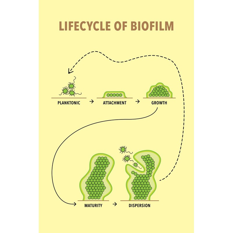 H2OK Water Cooler Cleaner