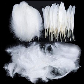 Feathers for Crafting, 250 Pcs 3 Size Natural Feathers White Black Yellow Pink Goose Feathers for DIY Dream Catchers Home Decor Wedding Party Decorations (White)