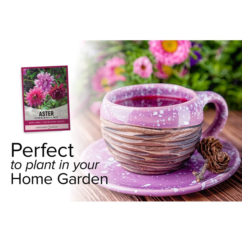 Aster Powderpuff Mix Flower Seeds