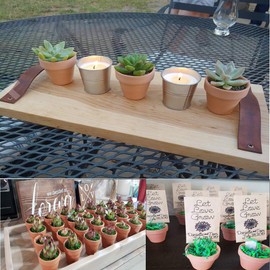 32 Pieces of Small Mini Flower pots 2 inch Clay Flower pots, Cactus Flower pots, Succulent Nursery Flower pots with Drainage Holes, Suitable for Indoor/Outdoor Plants,