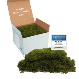 Plate Moss Long Preserved Natural Green Decorative Wall Moss Panels Durable DIY Moss Picture Make Yourself 300 g Natural Green Moss Mat Living in Green