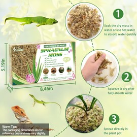 Halatool 6OZ Natural Sphagnum Moss for Plants 8 QT Premium Peat Moss Dried Long Fiber Orchid Moss for Orchid Repotting Carnivorous Succulents Garden Flowers Crafts Terrarium and Reptiles