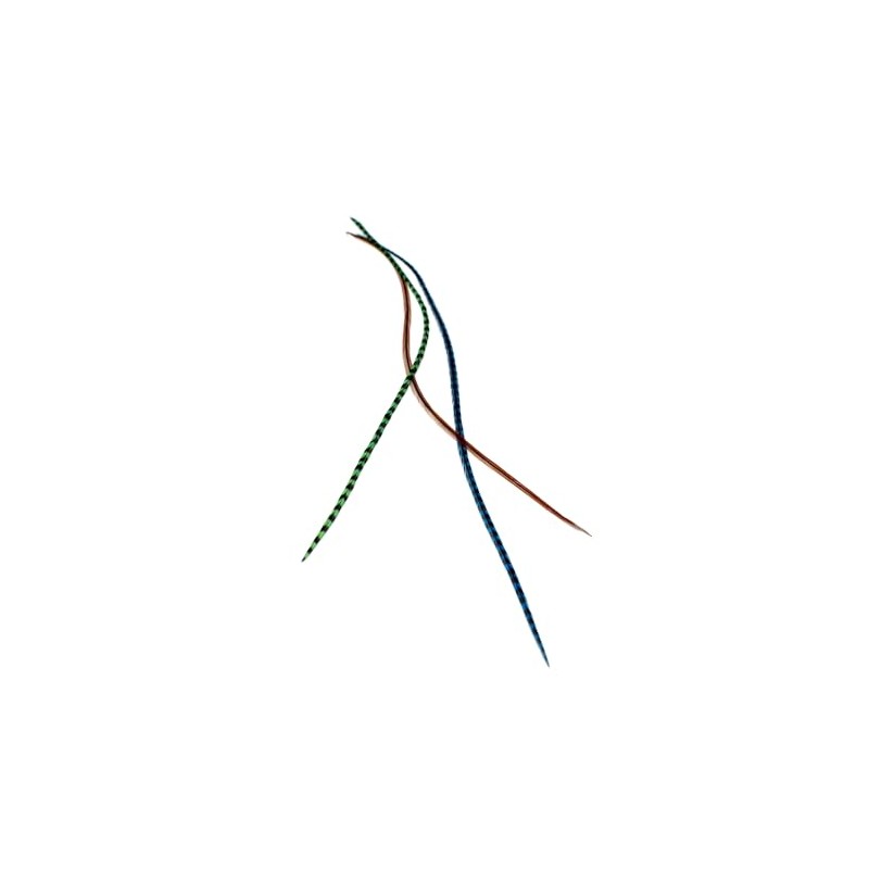 3 Feather Hair Extensions Real Feathers 22-28cm with Rings/Loops (Forest)