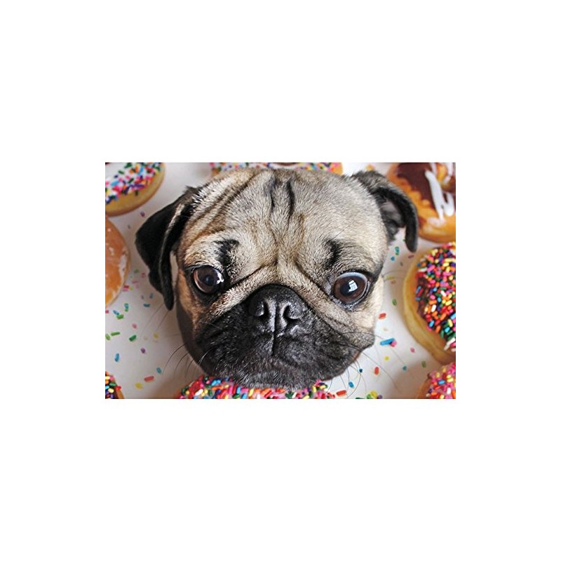 Doug The Pug 1000 Piece Puzzle Jigsaw Puzzle 27 x