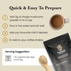 Ancient Extracts Chaga Mushroom Extract Powder - Minimum 30% Beta