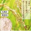 Tamachan Shop Rice Flour, 10.6 oz (300 g) x 3