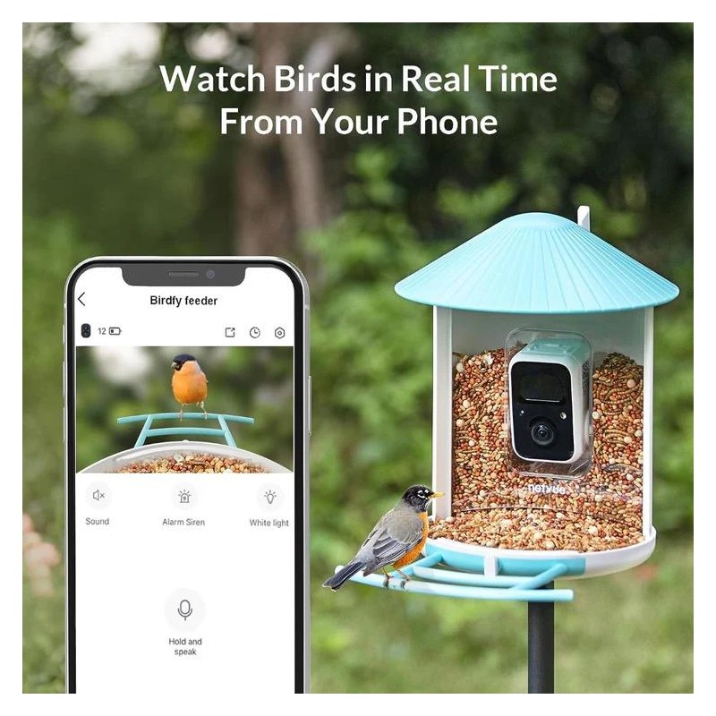 Birdfy Feeder with Solar Panel - Solar Powered Bird Feeder