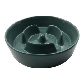 Sarini Slow Feeder Dog Bowl for Small to Medium Dogs, Green