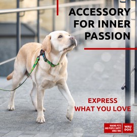 Nylon Dog Leash for Small Dogs and Medium Dogs - Strong Dog Leash for Large Dogs - Heavy Duty Dog Leashes for Large Breed Dogs & Puppy Leash for Small Boy & Girl Dogs