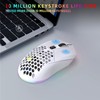 Wireless Mouse 2.4G Or BT5.1 Adjustable DPI Hollowed Out RGB