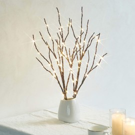 Fudios Lighted Branches with Timer Battery 70 Warm White LED Willow Branch Lights Prelit Twigs for Vase Table top Decoration Inside 18IN Small