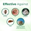 Hygea Natural Lice & Bed Bug Extra Strength Laundry Additive