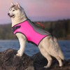 KONG Sport Water Float Dog Flotation Life Jacket Vest, Swimming