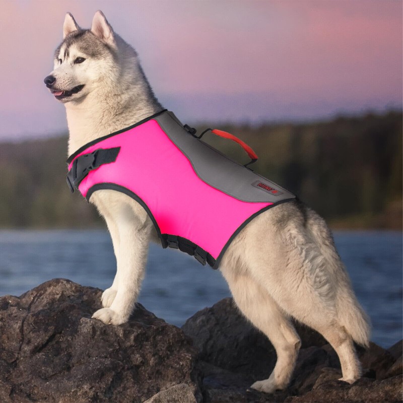 KONG Sport Water Float Dog Flotation Life Jacket Vest, Swimming
