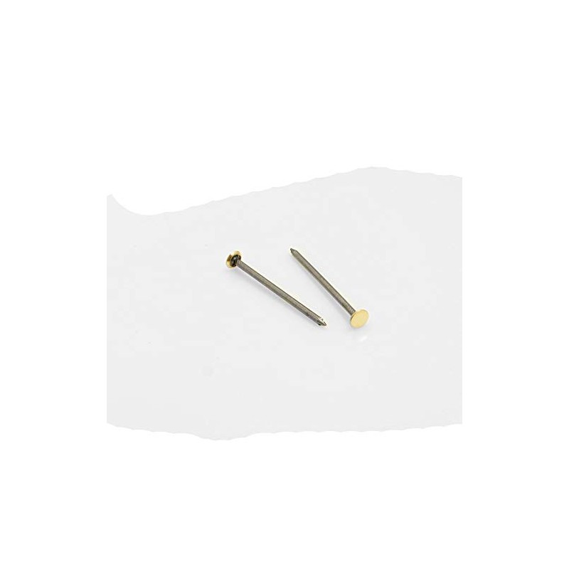 Design61 Steel Picture Nail 2.0 x 40 mm Pack of