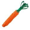 Best Ever Dog Toy Tufted Toy Carrot