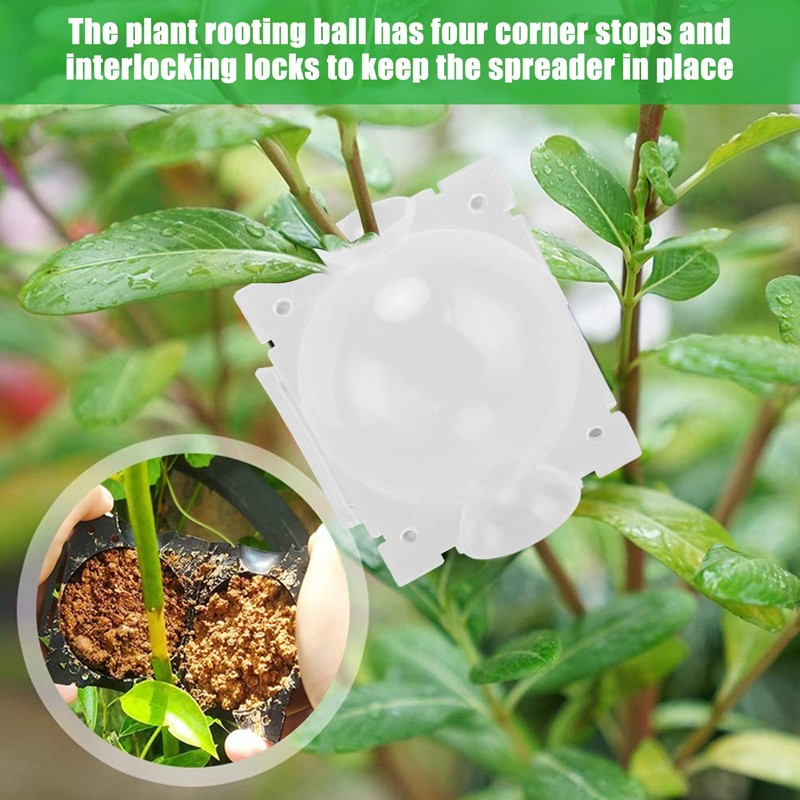 10 PCS Plant Root Growing Boxes Grafting Device PP Portable