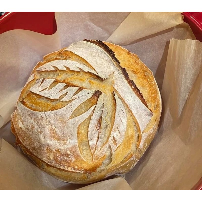 Heritage Sourdough SOURDOUGH STARTER DEHYDRATED ACTIVE SOUR TOP SELLER SAN