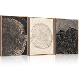 DRACIT Beige Pastel Wood Tree Rings Framed Canvas Wall Art Set,Modern Nature Grey Wood Stump Wall Decor,Vintage Minimalist Tree Spiral Art Print for Living Room,Bedroom,Dining Room,Office-12 x16 x3