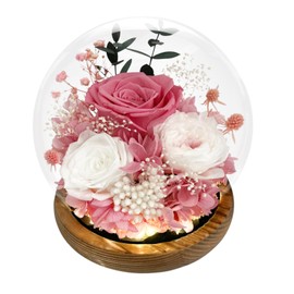 FIACO Preserved Roses in Glass Dome with LED Light Forever Flowers Eternal Roses Gift for Women Christmas & Birthday Gifts for Mom, Grandma, Wife, Girlfriend