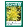Showa Notebook Japonica JL-8 Learning Book, B5 Size, 10 Grid