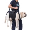 Dog Lifting Harness,Full Coverage One-Shoulder Handheld Dog Support Mobile Carrier