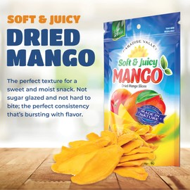 Dried Mango Slices - Delicious Texture Soft & Juicy Low Sugar Added Dried Mango - Naturally Ripened Mangos Dried Fruits - Gluten Free Dry Mangoes Natural Source of Vitamin C, Fiber, (8 oz Single Pack)